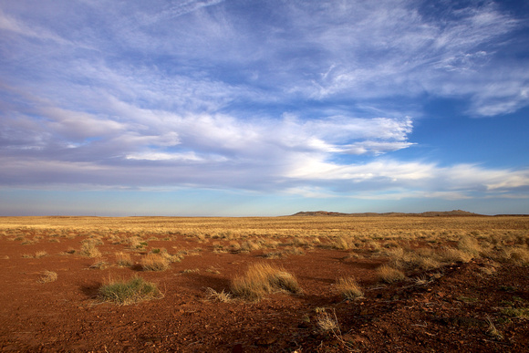 Desert Near Meteor Crater, Arizona