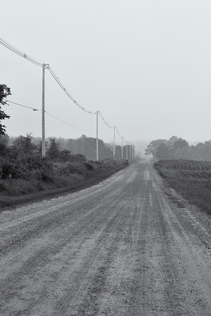 Foggy Country Road